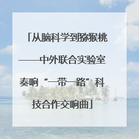 从脑科学到猕猴桃——中外联合实验室奏响“一带一路”科技合作交响曲