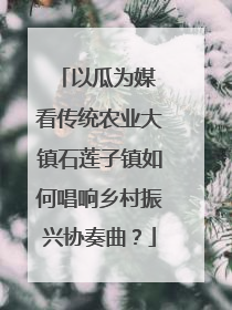 以瓜为媒 看传统农业大镇石莲子镇如何唱响乡村振兴协奏曲？