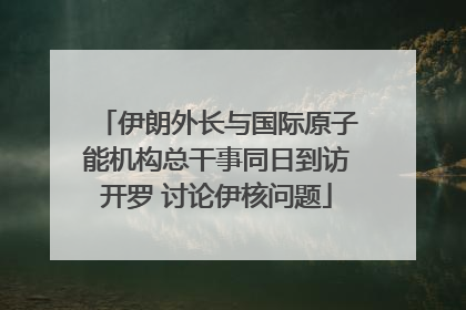 伊朗外长与国际原子能机构总干事同日到访开罗 讨论伊核问题