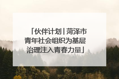 伙伴计划│菏泽市青年社会组织为基层治理注入青春力量
