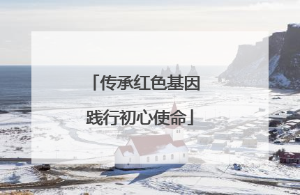 传承红色基因 践行初心使命