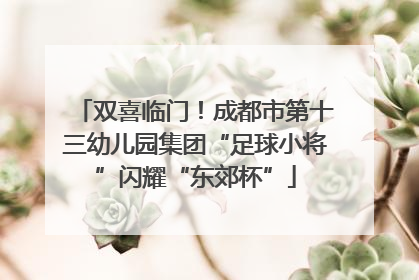 双喜临门！成都市第十三幼儿园集团“足球小将”闪耀“东郊杯”