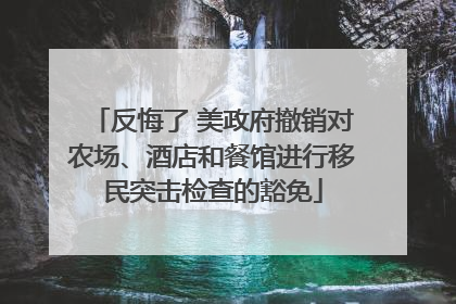反悔了 美政府撤销对农场、酒店和餐馆进行移民突击检查的豁免
