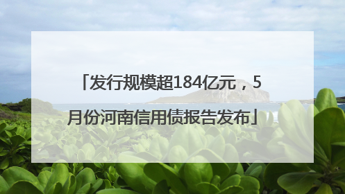 发行规模超184亿元，5月份河南信用债报告发布