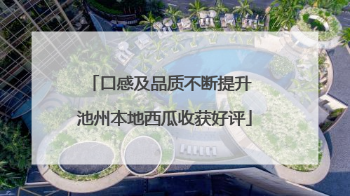 口感及品质不断提升 池州本地西瓜收获好评