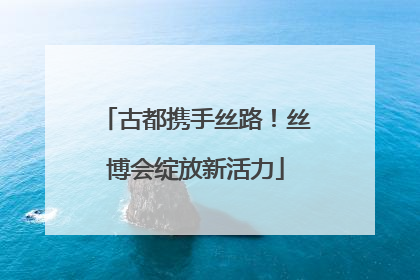 古都携手丝路！丝博会绽放新活力