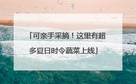 可亲手采摘！这里有超多夏日时令蔬菜上线