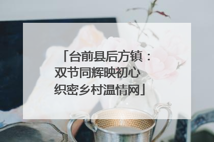 台前县后方镇：双节同辉映初心 织密乡村温情网
