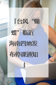 台风“蝴蝶”临近 海南四地发布停课通知