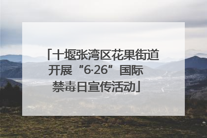 十堰张湾区花果街道开展“6·26”国际禁毒日宣传活动