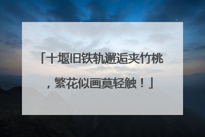 十堰旧铁轨邂逅夹竹桃，繁花似画莫轻触！