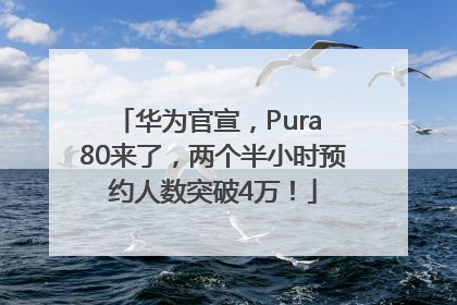 华为官宣，Pura 80来了，两个半小时预约人数突破4万！