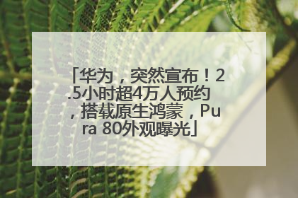 华为，突然宣布！2.5小时超4万人预约，搭载原生鸿蒙，Pura 80外观曝光