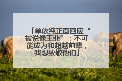 单依纯正面回应“被说像王菲”：不可能成为和超越前辈，我想致敬他们
