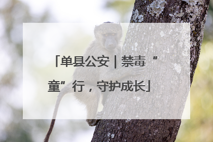 单县公安｜禁毒“童”行，守护成长