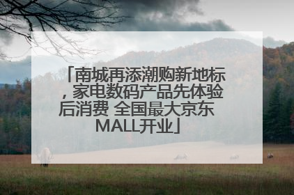 南城再添潮购新地标，家电数码产品先体验后消费 全国最大京东MALL开业