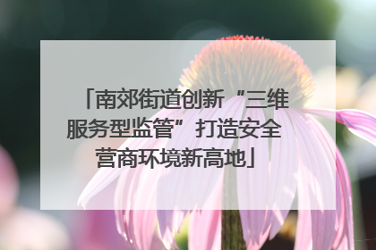 南郊街道创新“三维服务型监管”打造安全营商环境新高地