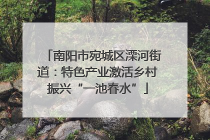 南阳市宛城区溧河街道：特色产业激活乡村振兴“一池春水”