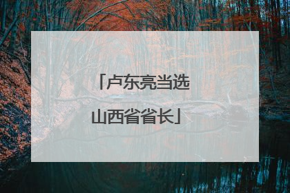 卢东亮当选山西省省长