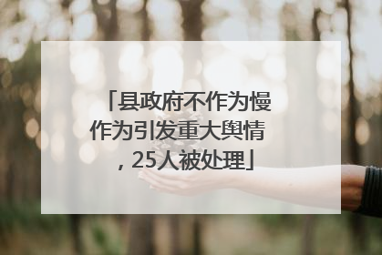 县政府不作为慢作为引发重大舆情，25人被处理