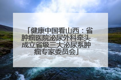 健康中国看山西：省肿瘤医院泌尿外科牵头成立省级三大泌尿系肿瘤专家委员会