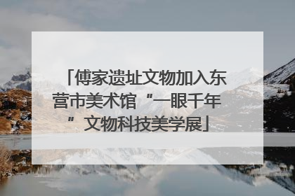 傅家遗址文物加入东营市美术馆“一眼千年”文物科技美学展