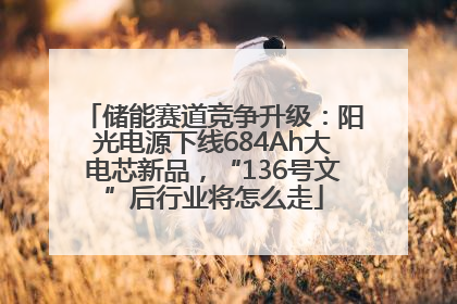 储能赛道竞争升级：阳光电源下线684Ah大电芯新品，“136号文”后行业将怎么走