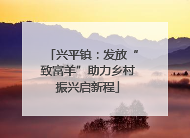 兴平镇：发放“致富羊”助力乡村振兴启新程