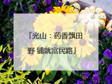 光山：药香飘田野 铺就富民路