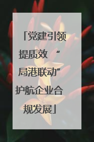 党建引领提质效 “局港联动”护航企业合规发展
