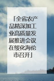 全省农产品精深加工业高质量发展推进会议在绥化海伦市召开