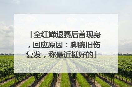 全红婵退赛后首现身，回应原因：脚腕旧伤复发，称最近挺好的