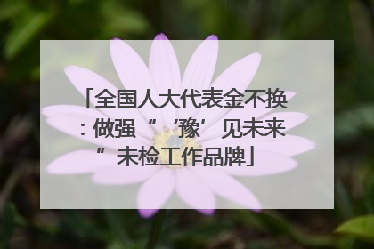 全国人大代表金不换：做强“‘豫’见未来”未检工作品牌