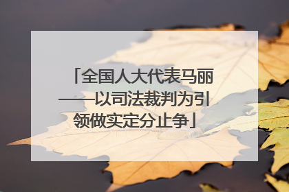 全国人大代表马丽——以司法裁判为引领做实定分止争