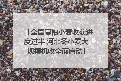 全国夏粮小麦收获进度过半 河北冬小麦大规模机收全面启动