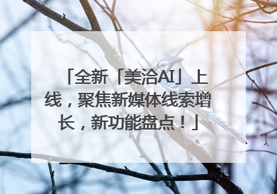 全新「美洽AI」上线，聚焦新媒体线索增长，新功能盘点！
