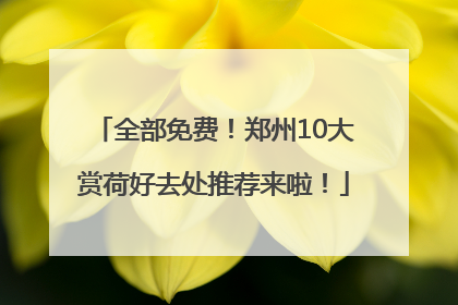 全部免费！郑州10大赏荷好去处推荐来啦！