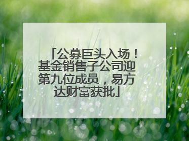 公募巨头入场！基金销售子公司迎第九位成员，易方达财富获批