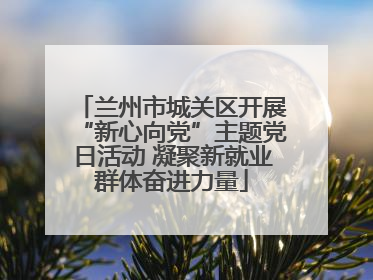 兰州市城关区开展“新心向党”主题党日活动 凝聚新就业群体奋进力量
