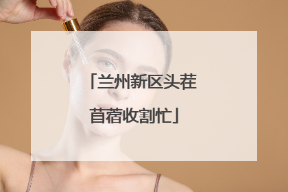 兰州新区头茬苜蓿收割忙