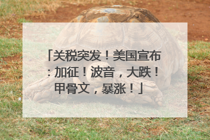 关税突发！美国宣布：加征！波音，大跌！甲骨文，暴涨！