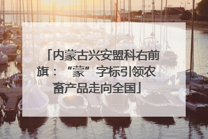 内蒙古兴安盟科右前旗：“蒙”字标引领农畜产品走向全国