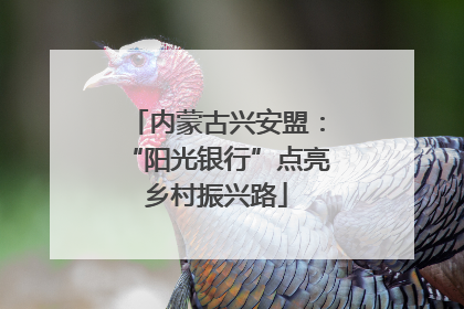 内蒙古兴安盟：“阳光银行”点亮乡村振兴路