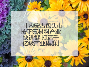 内蒙古包头市按下氟材料产业快进键 打造千亿级产业集群