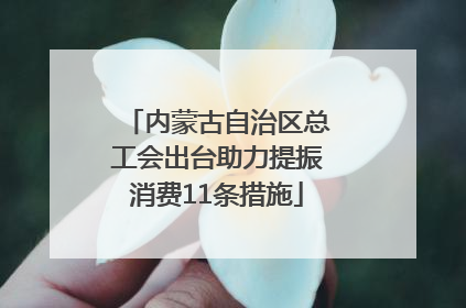 内蒙古自治区总工会出台助力提振消费11条措施
