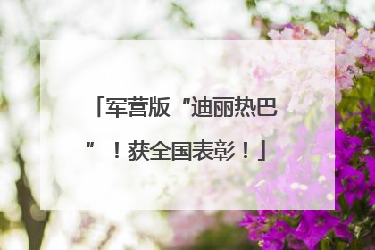 军营版“迪丽热巴”！获全国表彰！