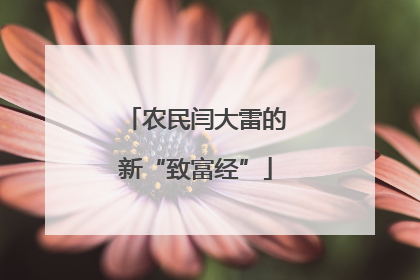 农民闫大雷的新“致富经”