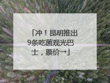 冲！昆明推出9条吃菌观光巴士，票价→