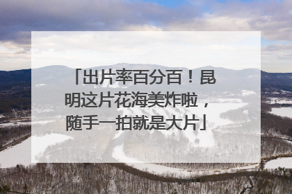 出片率百分百！昆明这片花海美炸啦，随手一拍就是大片