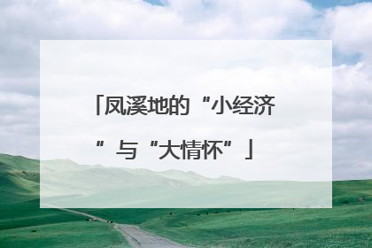 凤溪地的“小经济”与“大情怀”